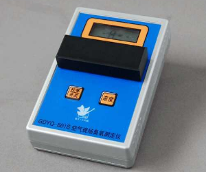空氣現場(chǎng)臭氧測定儀GDYK-601S