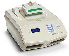 C1000和S1000伯樂(lè ) 1000系列高性能PCR儀器