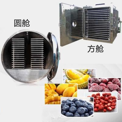 上海欣諭XY-GY-1000大型食品凍干機檸檬片冷凍干燥機冬蟲(chóng)夏草冷凍干燥機