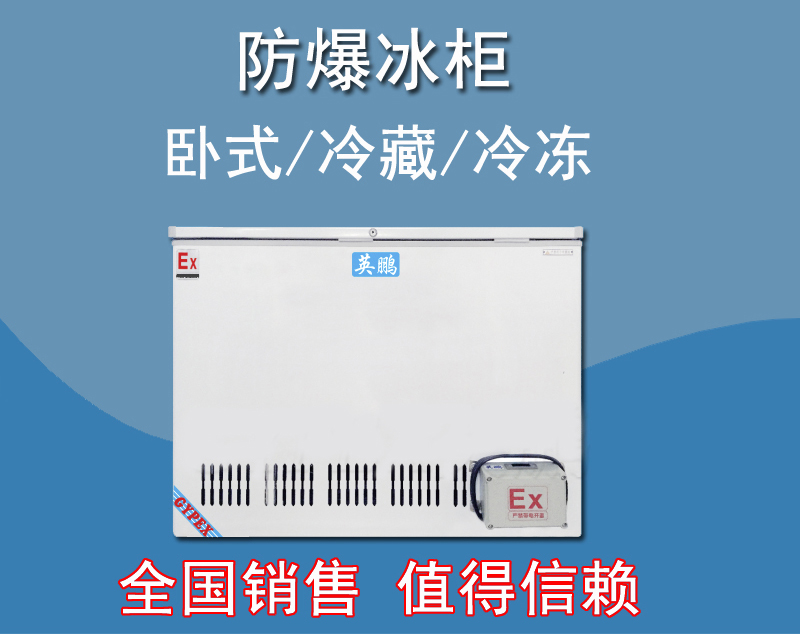 英鵬防爆臥式冰箱，存放油漆防爆冰箱BL-200