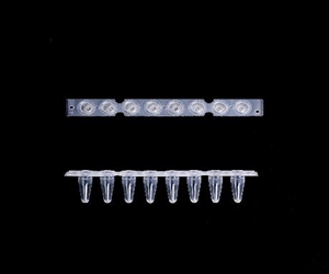 0.2ml八聯(lián)排PCR管，光學(xué)平蓋，透明，科進(jìn)/KIRGEN
