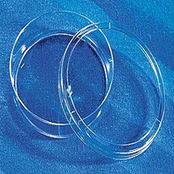 康寧/Corning430166細胞培養皿(60mm) TC處理，無(wú)菌