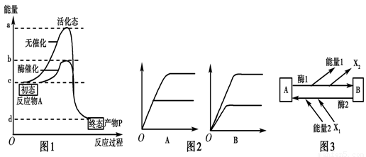 各種規格干細胞相關(guān)因子
