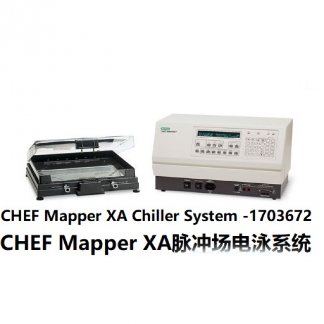 脈沖場(chǎng)電泳XA系統