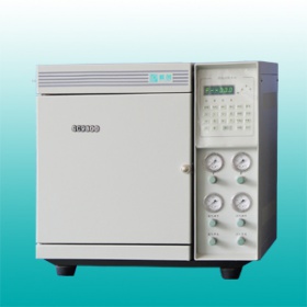 天然氣分析專(zhuān)用氣相色譜儀（GC9800型網(wǎng)絡(luò )化）