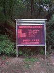 森林大氣環(huán)境負氧離子觀(guān)測站 景區智能負氧離子觀(guān)測站
