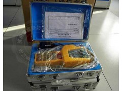 實(shí)用型T40硫化氫檢測儀