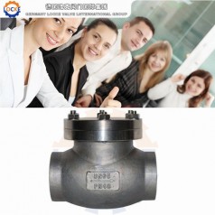 進(jìn)口低溫不銹鋼止回閥性能參數,報價(jià)/價(jià)格,圖片
