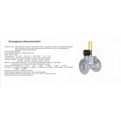 進(jìn)口低壓緊急切斷電磁閥（通電關(guān)閉、手動(dòng)打開(kāi)）