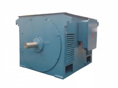 YSQ系列礦山專(zhuān)用三相異步電動(dòng)機