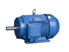YE2、YE3（80～355）系列高效三相異步電動(dòng)機