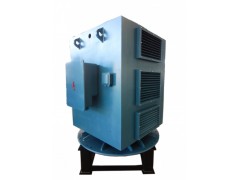 YLS系列6KV中型立式高壓三相異步電動(dòng)機