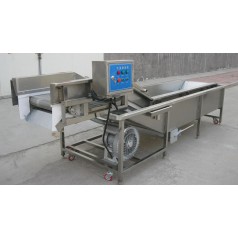 油菜氣泡清洗機，小白菜氣泡清洗機