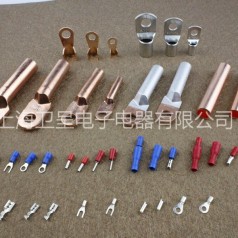 衛呈 DTL10-DTL300銅鼻子 鍍錫黃銅材質(zhì) 導電性能好
