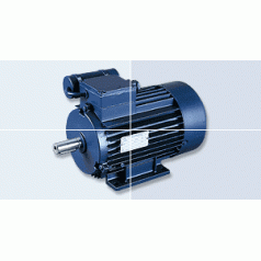 德國B(niǎo)irkenbeul單向標準電機