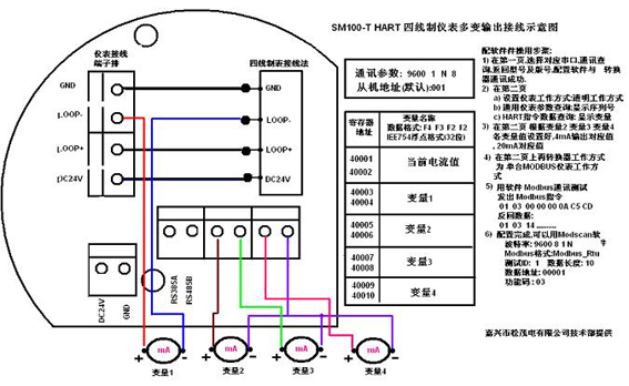 SM100-T(四線(xiàn)制)