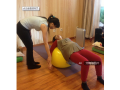 導樂(lè )球生產(chǎn)廠(chǎng)家  兩種型號   任你選擇