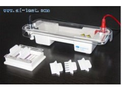 電泳槽報價(jià)/中國 水平電泳槽報價(jià) A131726