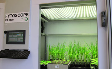 FytoScope FS-SI步入式植物生長(cháng)箱