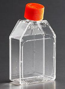 Corning 培養瓶 225cm&#178; 直角斜頸 聚酯蓋 材質(zhì) 滅菌 散裝 3000