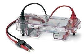 伯樂(lè )水平電泳槽Mini-SubCellGTSystem,7x10cmtray170