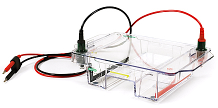 伯樂(lè )寬式水平電泳槽(帶制膠盤(pán)架)WideMini-SubCellGTSystem,with