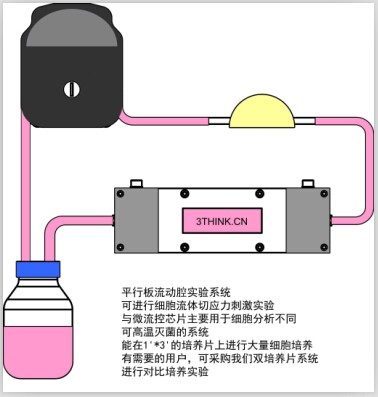 BIOCUL-S100流體細胞剪切力系統 細胞流體切應力 流動(dòng)中的動(dòng)態(tài)細胞培養