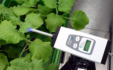 Monitoring Pen MP 100植物葉綠素熒光測量?jì)x