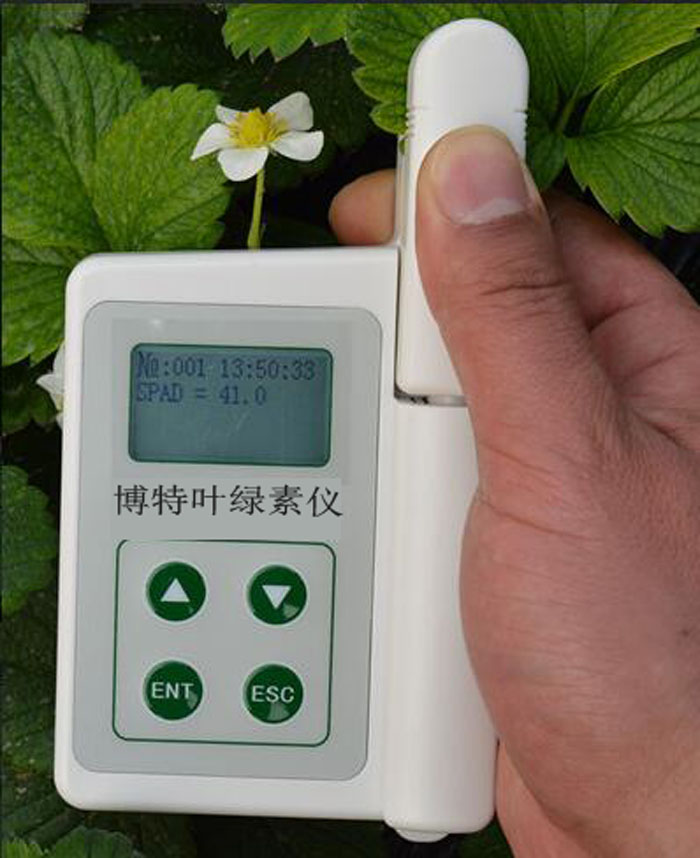 涿州博特BNY-S手持葉綠素測量?jì)x帶數據存儲