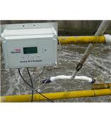 美國InsiteIG在線(xiàn)溶解氧分析儀Online DO Sentry M-2