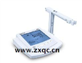 北京西化儀溶解氧測定儀BTYQ-BANTE980廠(chǎng)家報價(jià)