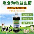 牛催肥用的微生態(tài)產(chǎn)品農富康養牛益生菌保健液