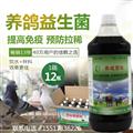 em菌種原種給雛鴿飲水專(zhuān)用怎么購買(mǎi)