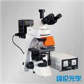 TL3200A四川鉸鏈式觀(guān)察筒雙目生物顯微鏡
